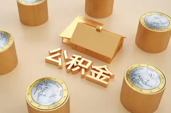 柳地区退休公积金代办提取额度是多少？